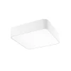 Griestu lampa RAGU WH