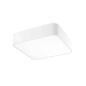 Griestu lampa RAGU WH