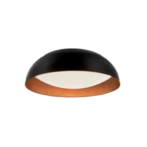 Griestu lampa LANDON