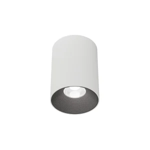 Griestu lampa Z08754-12.38.30.WB
