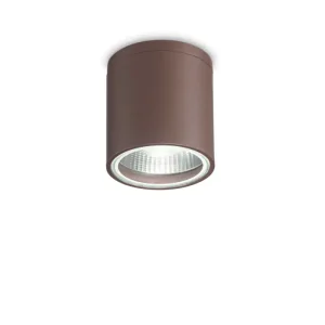 Griestu-sienas lampa GUN PL1 Coffee