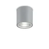 Griestu-sienas lampa GUN PL1 Grey