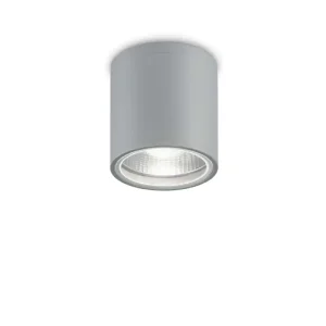 Griestu-sienas lampa GUN PL1 Grey