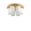 Griestu lampa Daisy 247779