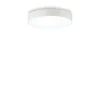 Griestu lampa Halo 223193