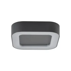 Griestu lampa PUEBLA LED
