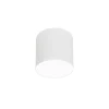 Griestu lampa 6525 POINT PLEXI WHITE M