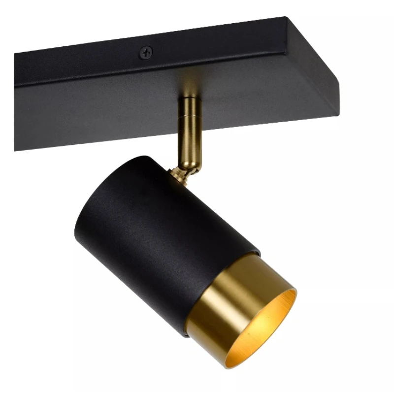 Griestu lampa FLORIS black