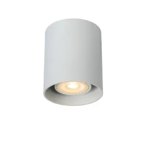 Griestu lampa 09100/01/31