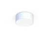 Griestu lampa 9605 CAMERON WHITE II