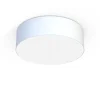 Griestu lampa 9606 CAMERON WHITE IV