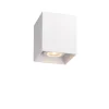 Griestu lampa BODI