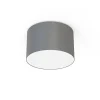 Griestu lampa 9683 CAMERON GRAY III