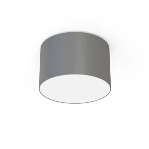 Griestu lampa 9683 CAMERON GRAY III