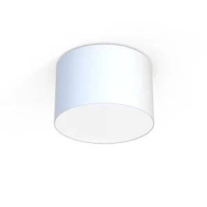 Griestu lampa 9684 CAMERON WHITE III