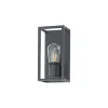 Sienas lampa 10504 MARGOT I GR WL