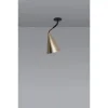Griestu lampa GORDON Brass