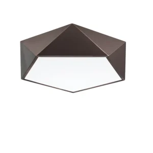 Griestu lampa DARIUS BR
