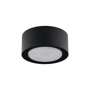 Griestu lampa FLEA 8203 BL