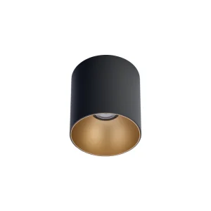 Griestu lampa POINT TONE 8224 BL/G