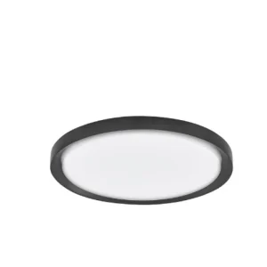 Griestu lampa TROY 9053594