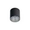 Griestu lampa POINT TONE 8223 BL/SI
