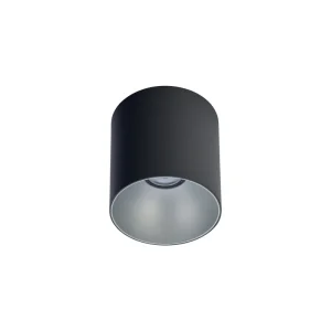 Griestu lampa POINT TONE 8223 BL/SI