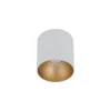 Griestu lampa POINT TONE 8221 WH/G