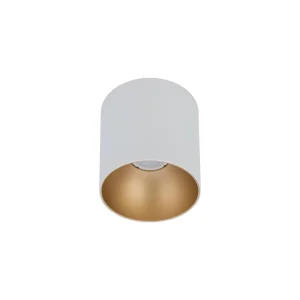 Griestu lampa POINT TONE 8221 WH/G