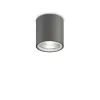 Griestu-sienas lampa GUN PL1 Anthracite