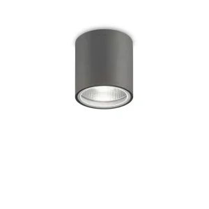 Griestu-sienas lampa GUN PL1 Anthracite