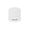 Griestu lampa Gozzano 9174511