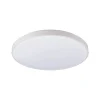 Griestu lampa AGNES ROUND LED 10979 WH