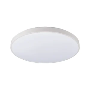 Griestu lampa AGNES ROUND LED 10980 WH