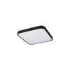 Griestu lampa 10984 AGNES SQUARE LED PRO BLACK 16W 4000K IP44