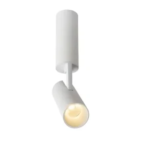 Griestu lampa GREG