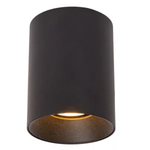 Griestu lampa 09945/01/30 Gerti