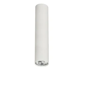 Griestu lampa EYE M WH