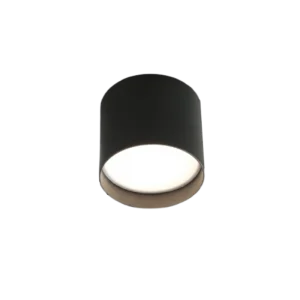 Griestu lampa NATSU Black