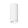 Griestu lampa Orazio 51854001
