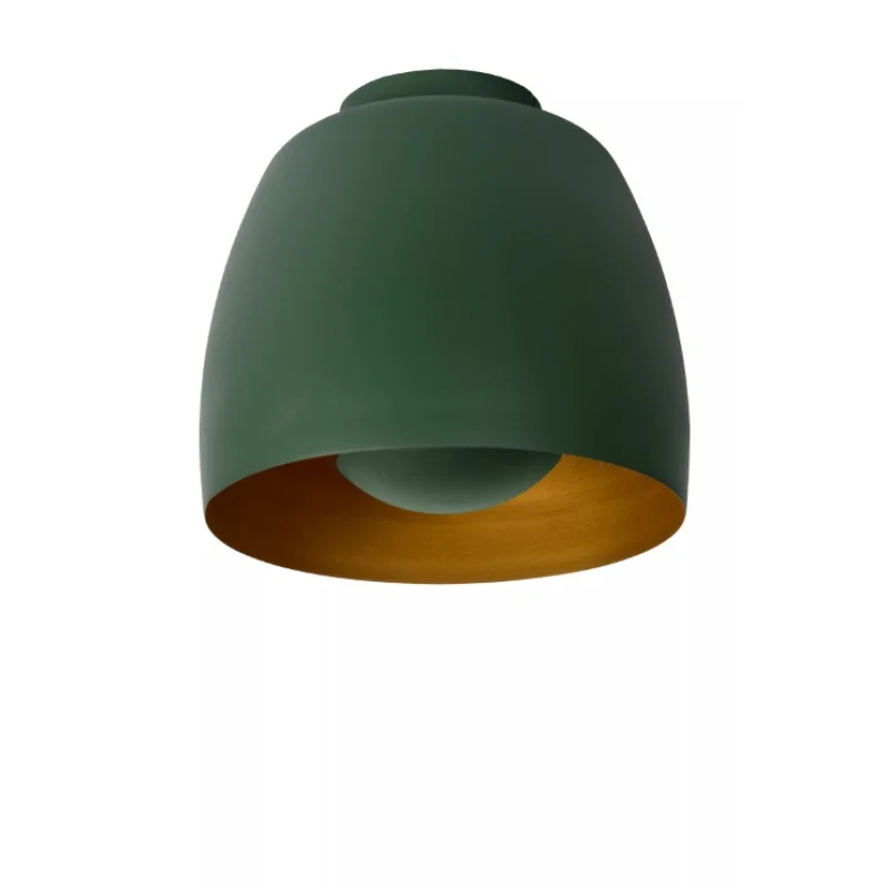 Griestu lampa NOLAN Green