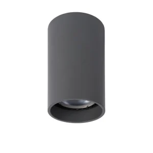 Griestu lampa DELTO