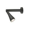 Sienas/griestu lampa OTTAWA GRAPHITW I KINKIET 9562