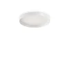 Griestu lampa Fly 254272