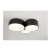 Griestu lampa 24210/60-E27-NM-SB