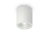 Griestu-sienas lampa GUN PL1 White