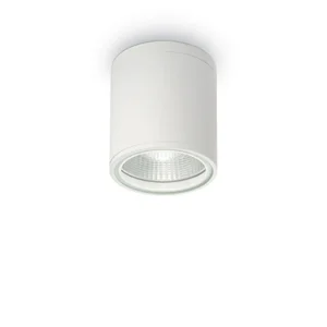 Griestu-sienas lampa GUN PL1 White