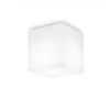 Griestu lampa LUNA PL1 D11 213200