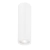 Griestu lampa Marupe 834864