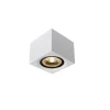 Griestu lampa FEDLER